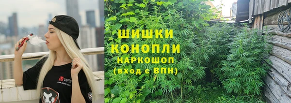трава Балахна