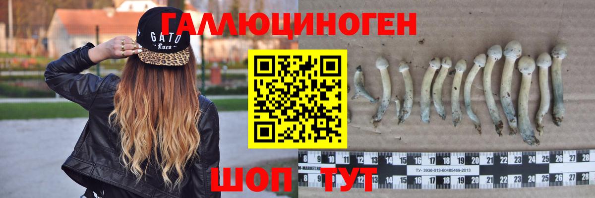 Нерюнгри  сколько стоит  Вход с VPN  Псилоцибиновые грибы мухоморы 